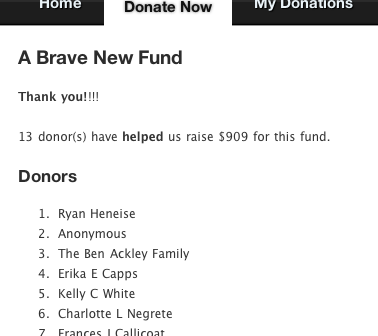 Customizing Donor Tools Fundraising Pages 2
