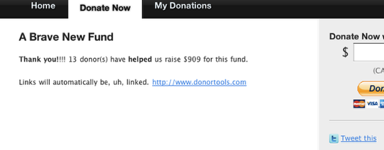 Customizing Donor Tools Fundraising Pages 7