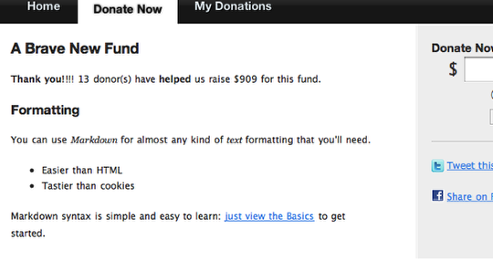 Customizing Donor Tools Fundraising Pages 9
